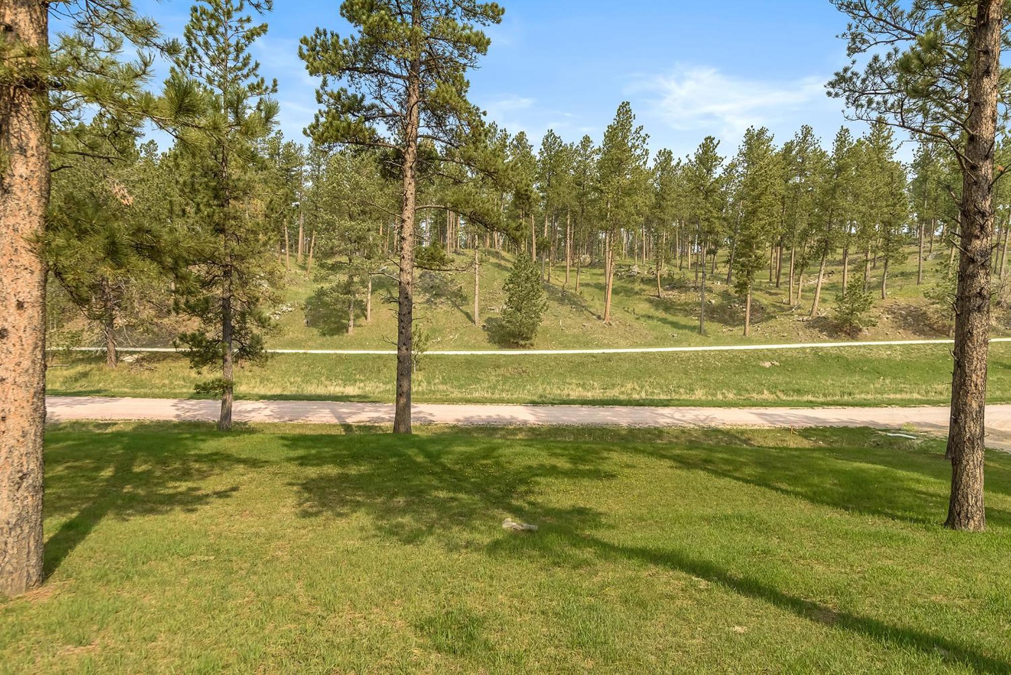 Elk Ridge Fire Place Custer Bagian luar foto